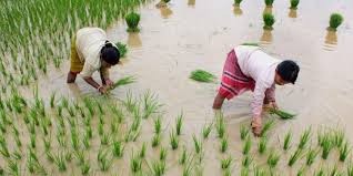 Government strengthens armer-centric initiatives ahead of Kharif season